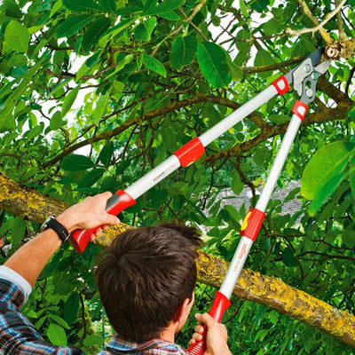 BlueStoneGarden | Telescoping Anvil Lopper RR900T