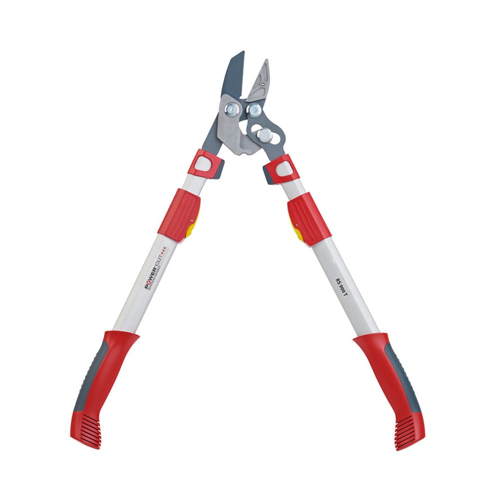 BlueStoneGarden |  Telescoping Anvil Lopper RR900T
