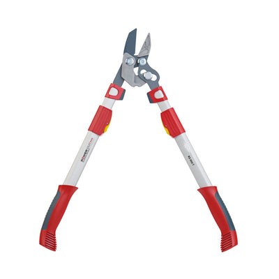 BlueStoneGarden | Telescoping Anvil Lopper RR900T