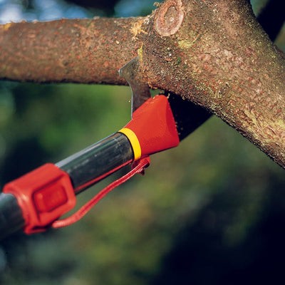 13 ft Pole Saw -  Pole Saw Set - BlueStoneGarden