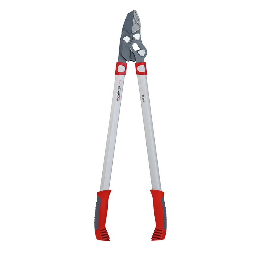 BlueStone Garden -  Anvil Lopper 29.5” - RS750