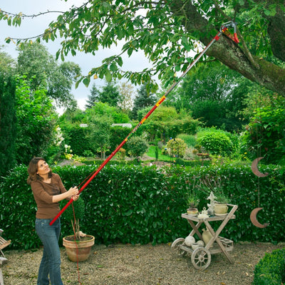 Tree Loppers- Professional Tree Lopper RRVM - BlueStoneGarden