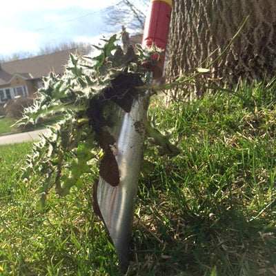 Weeding Tools -  Weed Removal Tool - BlueStoneGarden