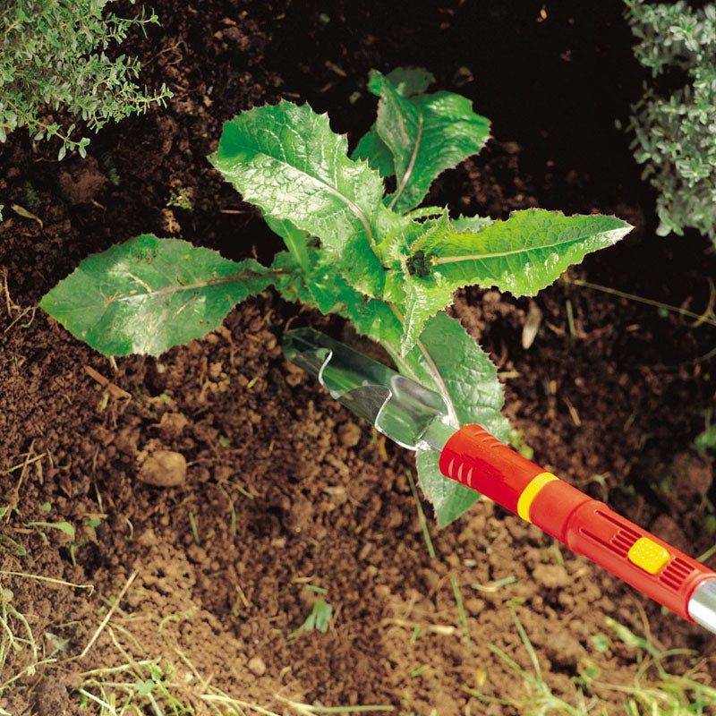Weeding Tools -  Weed Removal Tool - BlueStoneGarden