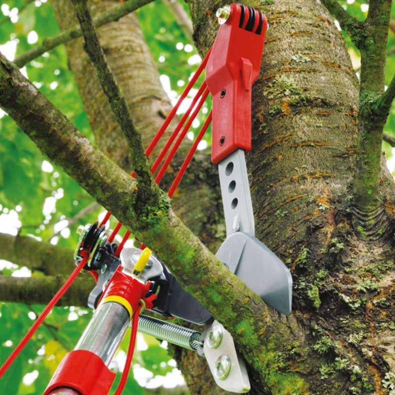 Tree Loppers- Professional Tree Lopper RRVM - BlueStoneGarden