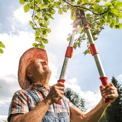 BlueStone Garden - Power Cut Bypass Lopper RR900T