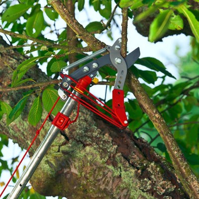 Tree Loppers- Professional Tree Lopper RRVM - BlueStoneGarden