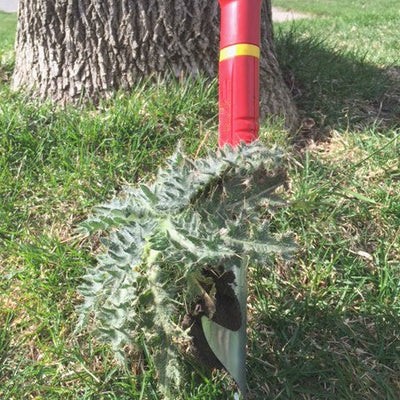 Weeding Tools - BlueStone Garden -  Thistle and Weed Extractor - IWM
