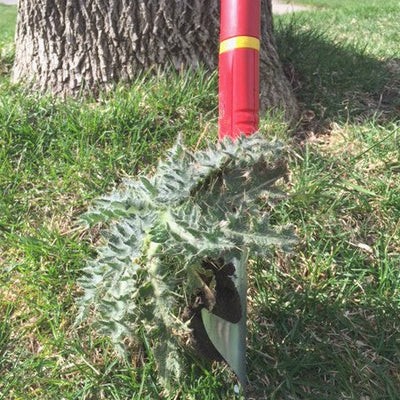 Weeding Tools -  Weed Removal Tool - BlueStoneGarden