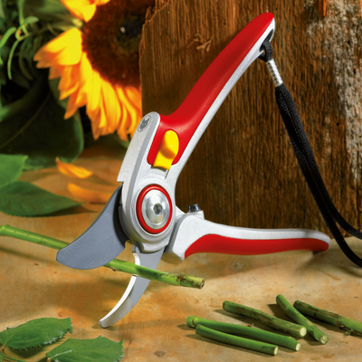 Pruners -  Professional Bypass Pruner RR5000 - BlueStoneGarden