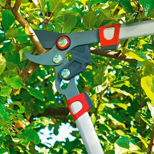 BlueStone Garden | Loppers |  Bypass Lopper 29.5” RR750