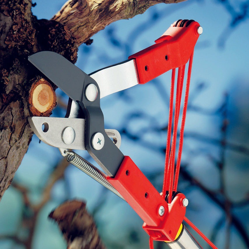 BlueStone Garden -  Tree Lopper - RCM