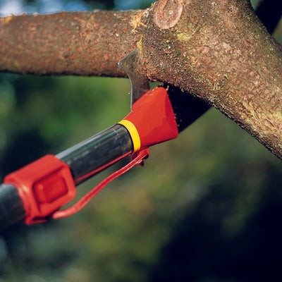 BlueStoneGarden -  - Tree Saw Pro - REPM - tree saw