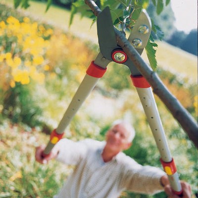 BlueStone Garden - Power Cut Bypass Lopper RR900T