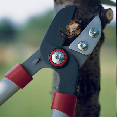 BlueStone Garden -  Anvil Lopper 29.5” - RS750