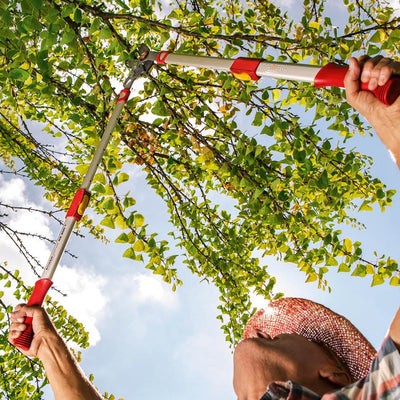 BlueStone Garden | Tree Loppers | Bypass Lopper RR650