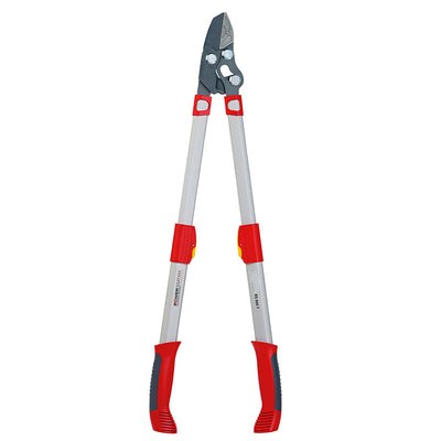 BlueStoneGarden | Telescoping Anvil Lopper RR900T