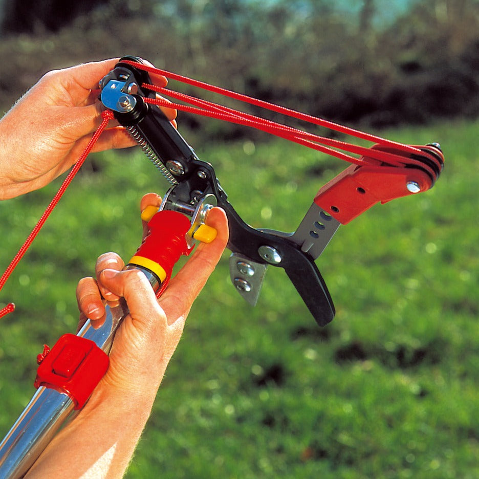 Tree Loppers- Professional Tree Lopper RRVM - BlueStoneGarden