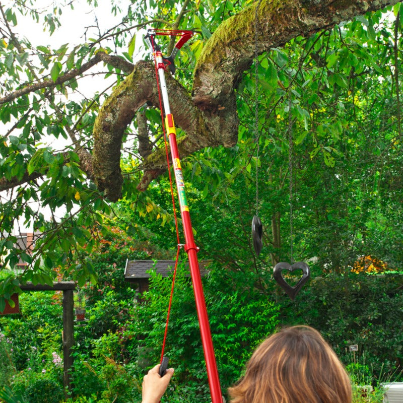 Tree Loppers- Professional Tree Lopper RRVM - BlueStoneGarden